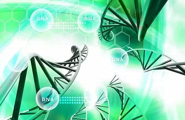 中國生物信息云計算產(chǎn)業(yè)聯(lián)盟成立 以基因大數(shù)據(jù)推進“精準(zhǔn)醫(yī)療”