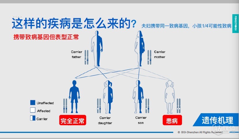 【鈦坦白】華大基因彭智宇：基因大數(shù)據(jù)，將帶來巨大價(jià)值和市場格局變化