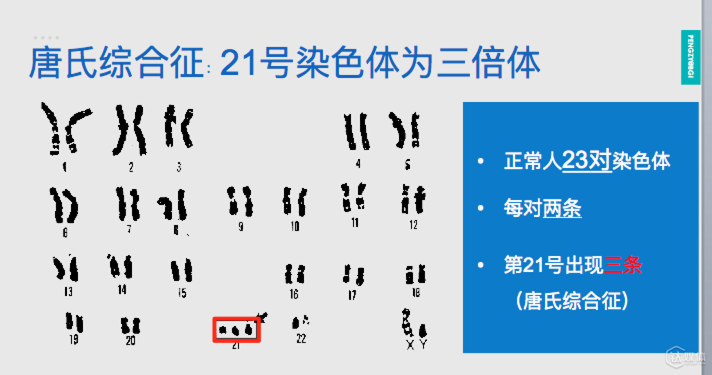 【鈦坦白】華大基因彭智宇：基因大數(shù)據(jù)，將帶來(lái)巨大價(jià)值和市場(chǎng)格局變化