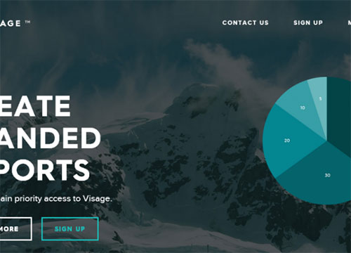 Introducing Visage