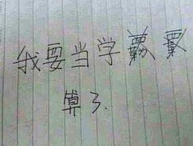 關(guān)于購票驗(yàn)證碼，其實(shí)你們都錯怪了12306