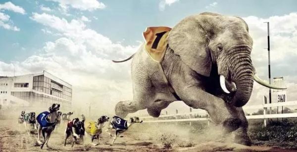 企業(yè)擁抱大數(shù)據(jù)，Hadoop 和Spark漸受歡迎