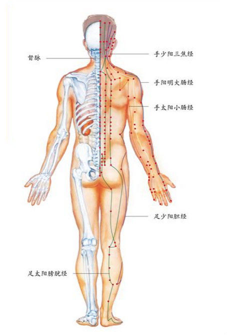 大數(shù)據(jù)可視化