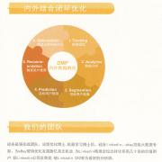 DATATIST的團隊