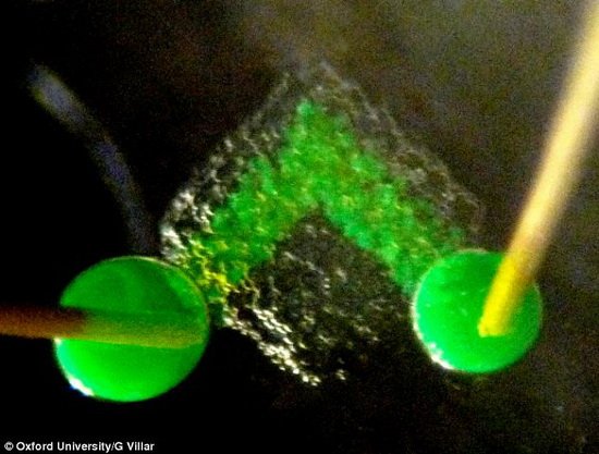 創(chuàng)新3D打印機(jī)可打印制造人類仿生組織