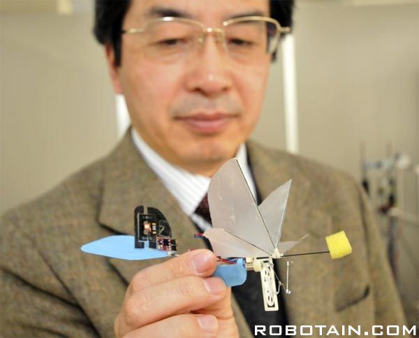 蜂鳥機器人