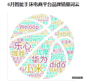 6月智能手環(huán)電商數(shù)據(jù) 小米手環(huán)2領(lǐng)跑