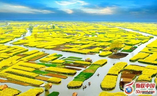 三中全會聚焦土地改革 智慧農(nóng)林構(gòu)建生態(tài)文明