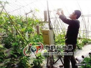 天津成首批物聯(lián)網(wǎng)試驗區(qū) 點手機給大棚控溫控光--物聯(lián)網(wǎng)世界網(wǎng)
