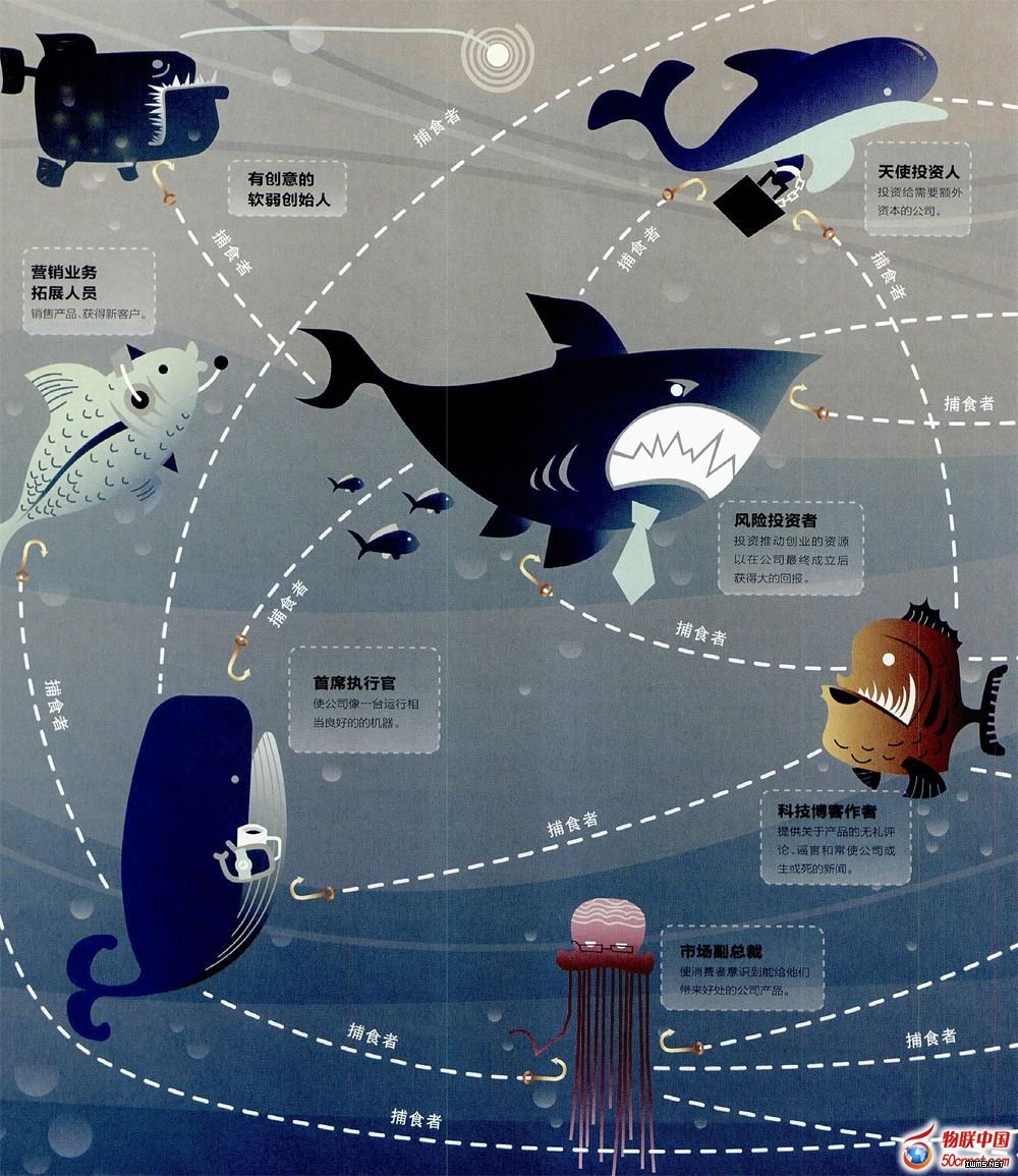 中國(guó)為什么沒有喬布斯？揭秘物聯(lián)網(wǎng)生態(tài)圈冷血性