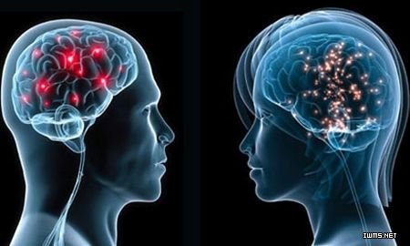 用腦科學(xué)解讀互聯(lián)網(wǎng)人工智能未來