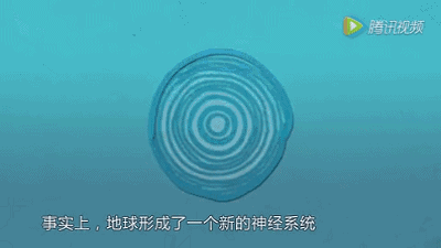 物聯(lián)網(wǎng)