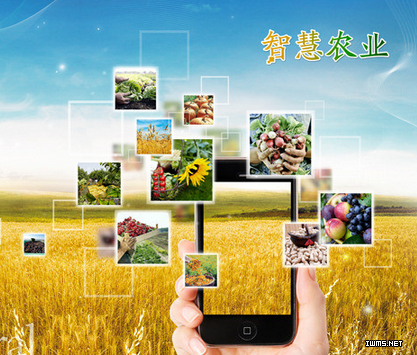 智慧農(nóng)業(yè) 農(nóng)業(yè)物聯(lián)網(wǎng)