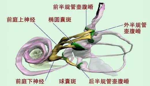 到現(xiàn)在玩VR還頭暈？別只怪頭顯，可能這就是命