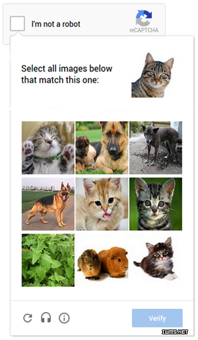 google驗證碼 -人工智能 cat_captcha