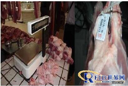 蘇州新導(dǎo)RFID食品溯源解決方案