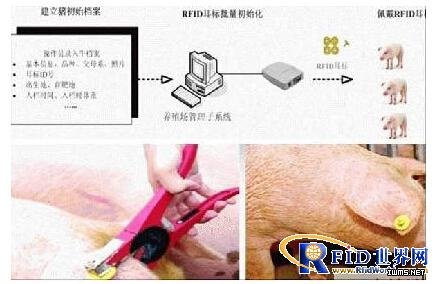 蘇州新導(dǎo)RFID食品溯源解決方案