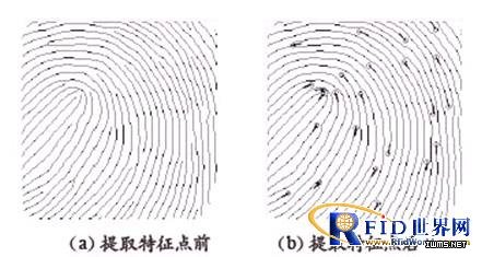 圖7  根據(jù)圖像紋理的粗細(xì)提取的二值化圖像端點(diǎn)和交叉點(diǎn)特征