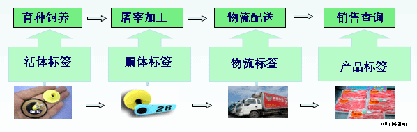 RFID養(yǎng)豬業(yè)生產追溯管理解決方案