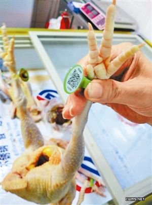 掃下二維碼就知雞“底細(xì)”