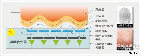 生物識(shí)別：3D活體指紋技術(shù)將成下一個(gè)爆發(fā)點(diǎn)