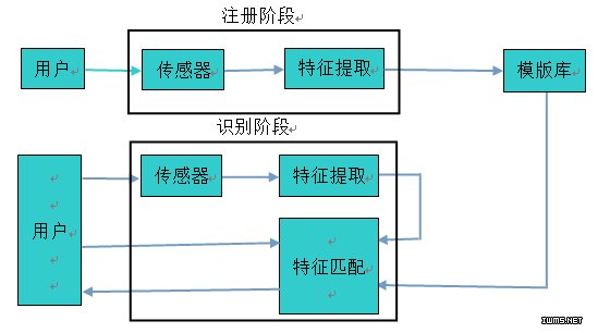 生物特征識別研究進(jìn)展