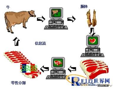 基于超高頻RFID 的牛肉追蹤系統(tǒng)解決方案