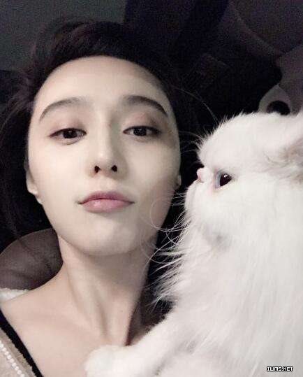 整容成范冰冰 人臉識(shí)別能認(rèn)出來嗎？支付寶如是說
