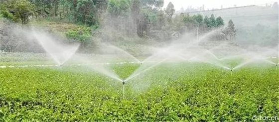 水肥一體化管理離不開農(nóng)業(yè)物聯(lián)網(wǎng)技術