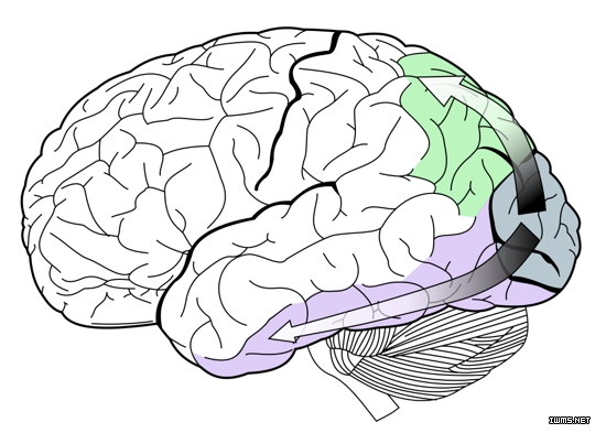 物聯(lián)網(wǎng)
