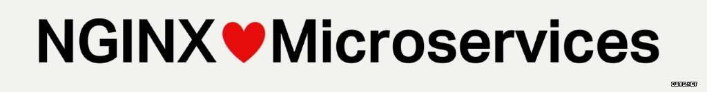 Stetson-conf2016-slide8_NGINXmicroservices.png