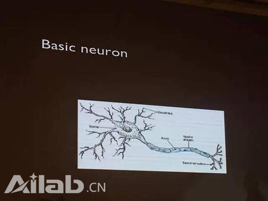計算機(jī)比人聰明？這樣說你就錯了