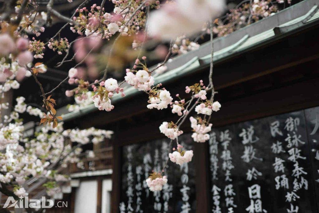 讓人工智能為你的旅行規(guī)劃指導(dǎo) 比人更靠譜？