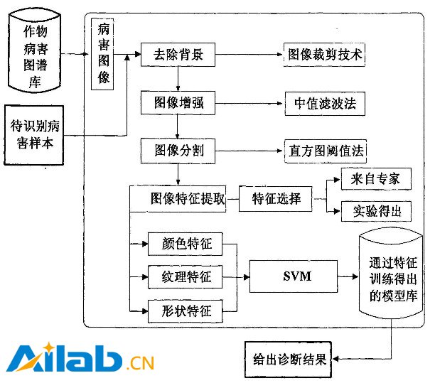 農(nóng)民不再愁！人工智能幫你診斷作物疾病