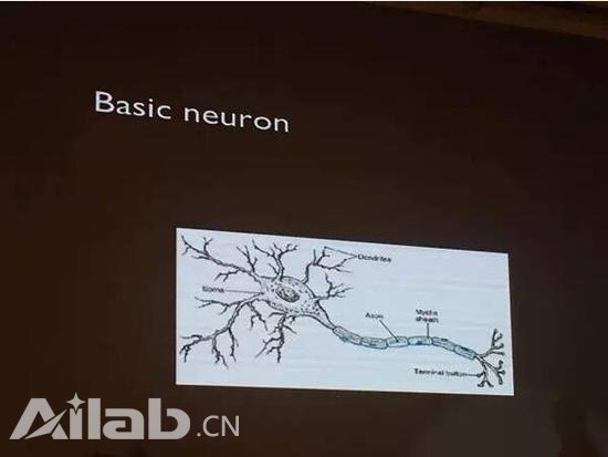 計算機(jī)比人聰明？這樣說你就錯了