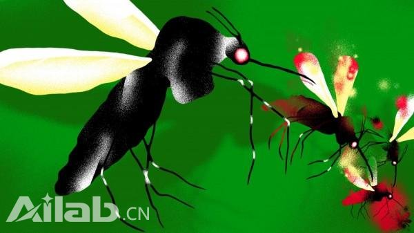 Alphabet正利用人工智能“專致”蚊子不孕不育
