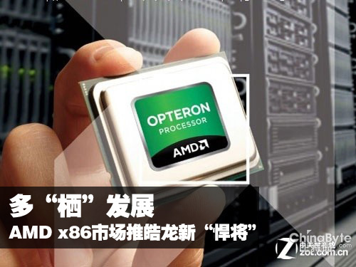 多“棲”發(fā)展 AMD x86市場推皓龍新“悍將” 