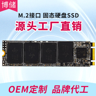 Larix力瑞信 MⅡ500 128G 256G SSD 固態(tài)硬盤(pán) M.2接口 SATA協(xié)議