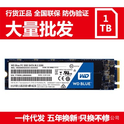 WD/西部數(shù)據(jù) 藍(lán)盤(pán) SSD固態(tài)硬盤(pán) 1T M.2 2280電腦臺(tái)式機(jī)SATA筆記本