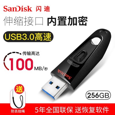 SanDisk閃迪優(yōu)盤商務(wù)辦公U盤128G 高速USB3.0學(xué)生CZ48閃存 256G